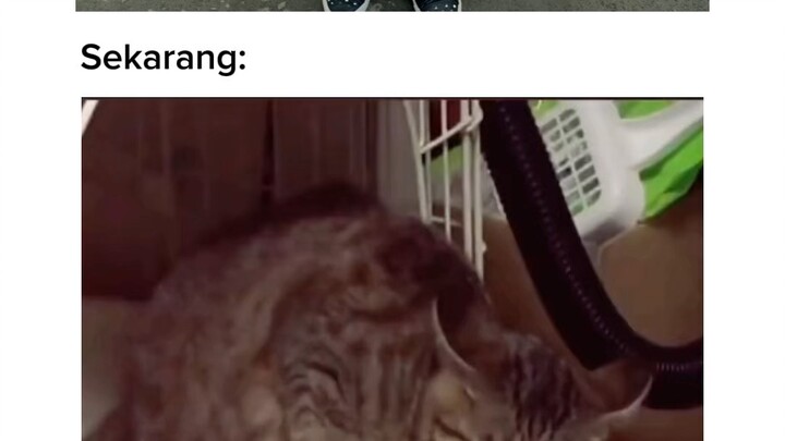 Sekarang bisa bertahan aja udah syukur🙃