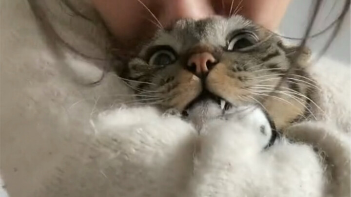 卷：听我说，谢谢你