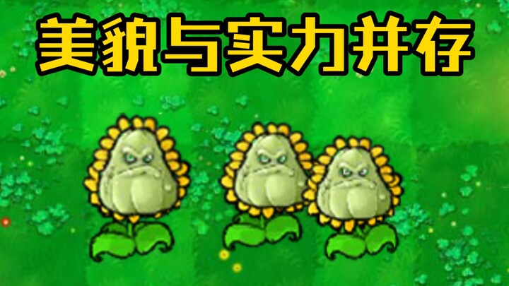 Aku kan manis begini, pasti nggak masalah buat memikat zombie, kan?