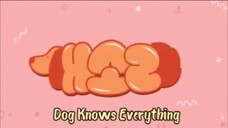 Dog Knows Everything eps 4