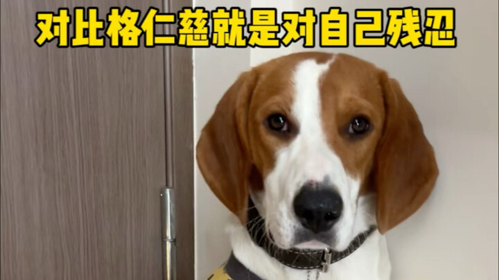 对比格仁慈就是对自己残忍