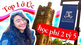 ĐẠI HỌC TOP 1 NƯỚC ÚC - cấm học trong thư viện 🤯 - Đại học Melbourne