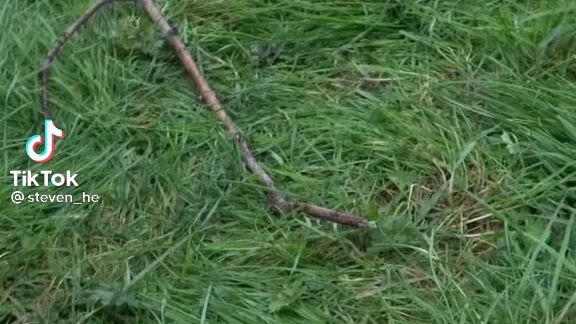 part 2 . video not mine