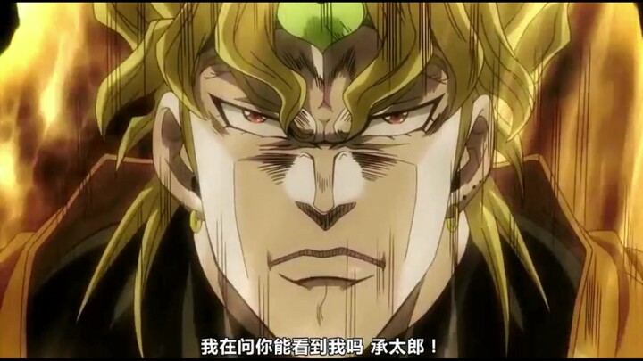 jojo的奇妙冒险/无敌的空条承太郎/DIO