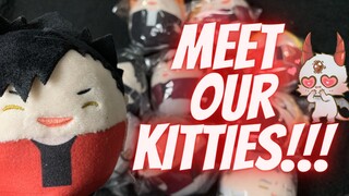 It's A Plush Army!!!! | ASMR Anime Unboxing Haikyuu Plushy Collection