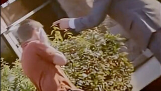 分数真的那么重要吗