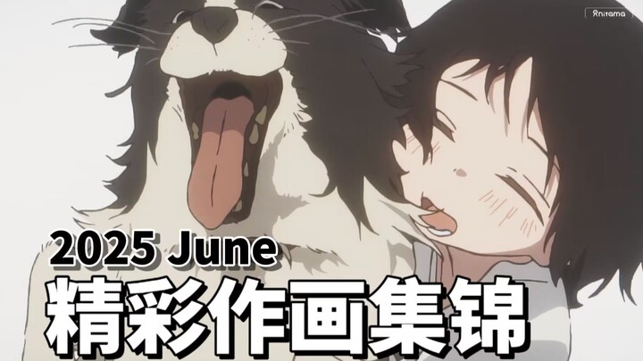 【Anitama】2025年6月精彩作画集锦