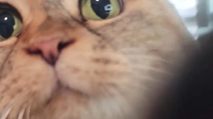 Clangingly beating a fan