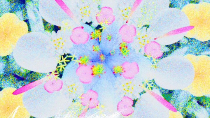 Versi lengkap lirik bahasa Mandarin dan Jepang lagu baru YOASOBI "Suki da"