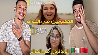 Anes Tina | وثائقي المؤثرين والقهويات [Reaction]🇲🇦🇩🇿😂😂😂