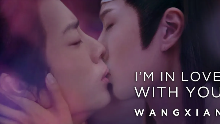 หวังเซียน ฉันตกหลุมรักคุณ (The Untamed 陈情令 BL FMV)