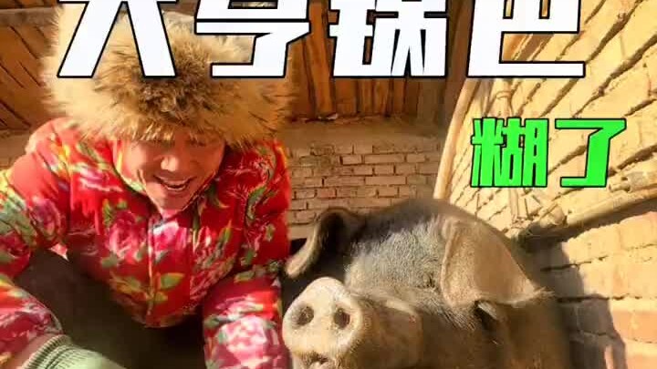 In Northeast China, slaughtering a pig for the New Year is a must.