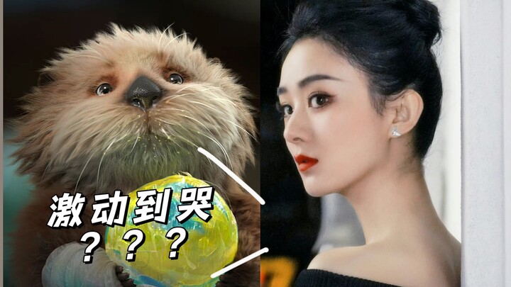 What movie could get a release date set and have Zhao Liying so moved she bursts into tears?! Even h