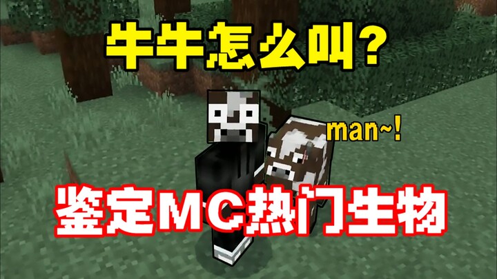 Is this also considered amazing?