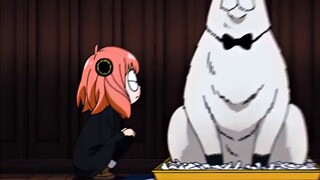 "Aniya's expression gradually became outrageous"