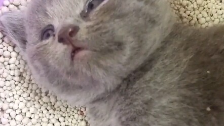 We're pros at rising from the dead!