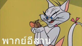 ทอมแอนเจอรี่ แมวขาวตรากระต่ายบิน พากย์สาน