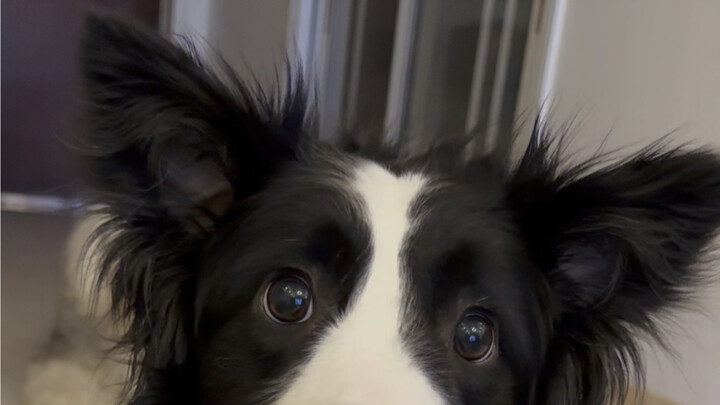 Maaf, aku bahkan lebih buruk daripada anak durhaka di rumah.