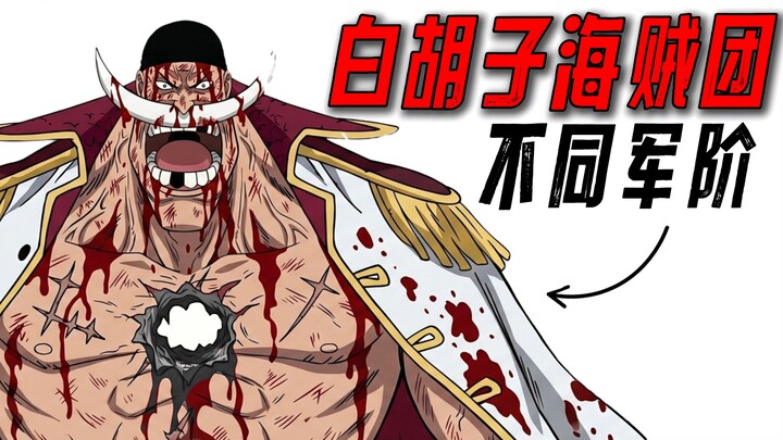 Experience the lives of every rank within the Whitebeard Pirates in One Piece!