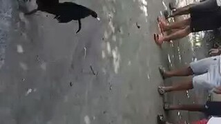 win tusok sugat di malalim!