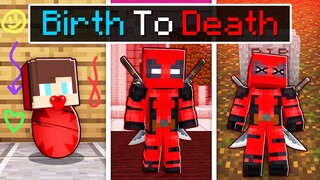 Maizen BIRTH to DEATH of DEADPOOL in Minecraft! - Parody Story(JJ and Mikey TV)