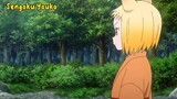 sengoku youko anime