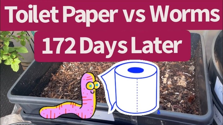 Toilet Paper vs Worms - 172 Days Later