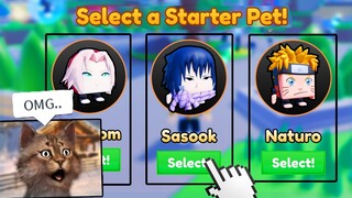 ROBLOX ANIME CLASH SIMULATOR