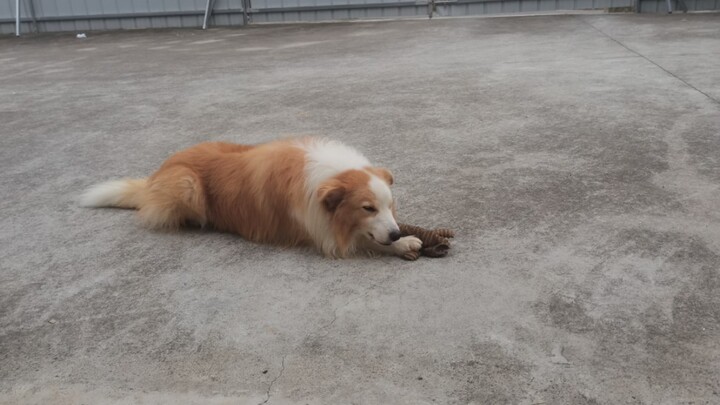 Thiết lập, đã thiết lập chưa?