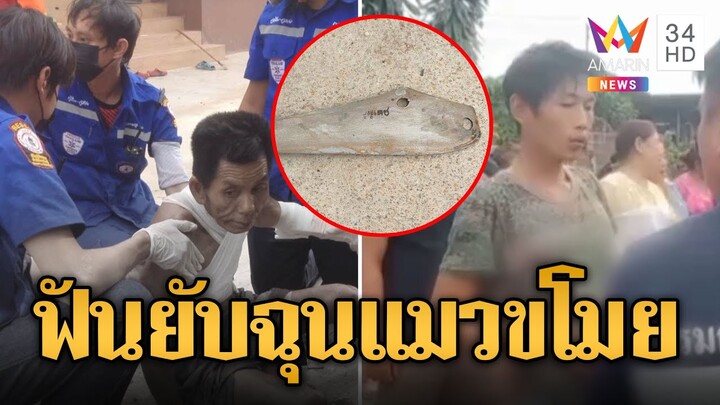 หนุ่มหัวร้อน! แมวขโมยปลาทูฟันลุงเจ้าของยับทั้งร่าง | ข่าวอรุณอมรินทร์ | 6/8/67