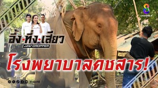 โรงพยาบาลคชสาร! | อึ้ง ทึ่ง เสียว