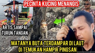 MENYELAMATKAN KUCING BUTA YANG DI BUANG KE LAUT SAMPAI MAU PINGSAN  KARENA PANAS..!