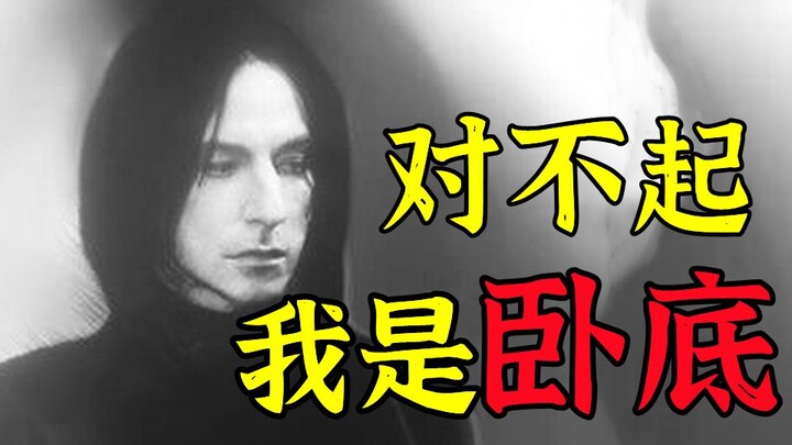 斯内普秘史：我的卧底生涯