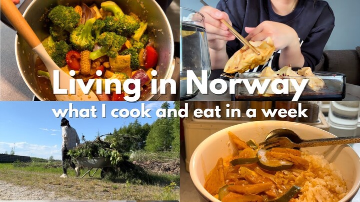 🥘 What I cook and eat in a week, healthy recipes and meals🌳 Living in Norway