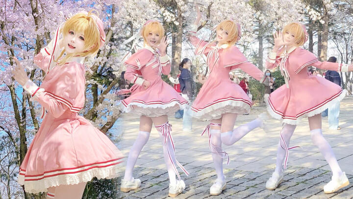 Ran into Sakura under the cherry blossom tree?! Let me just be dyed by your colors【Sakura Birthday C