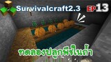 ทดลองปลูกพืชในถ้ำ Survivalcraft 2.3 ep.13 [พี่อู๊ด JUB TV]