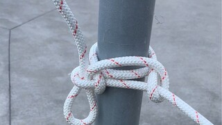 Simpul "Pencuri Kuda" yang terkenal! #KingofKnots# #HorseTrainingHorse ...