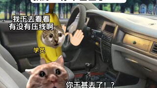 教练：我好像差点看见太奶了#猫meme小剧场#驾校#内容过于真实#搞笑#真实还原