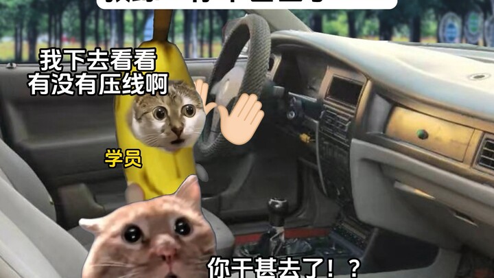 教练：我好像差点看见太奶了#猫meme小剧场#驾校#内容过于真实#搞笑#真实还原