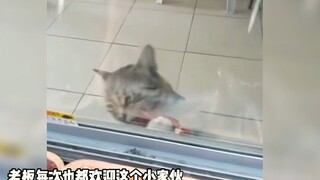 “这一世的轮回，又让我遇到了你”