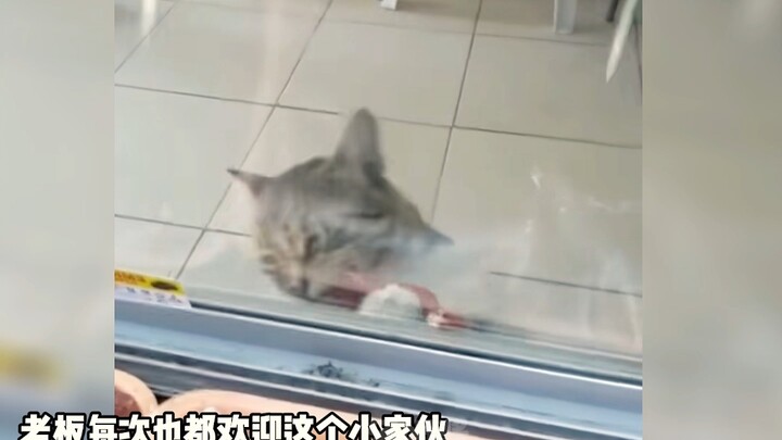 “这一世的轮回，又让我遇到了你”