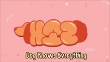 Dog Knows Everything eps 11