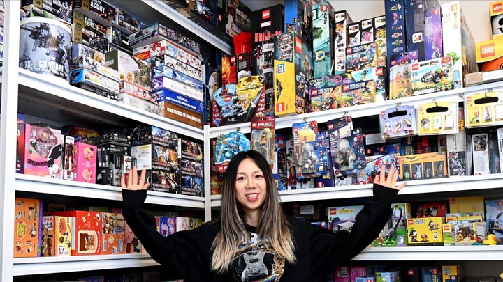 This is really not a toy store’s warehouse, it’s my toy nest!