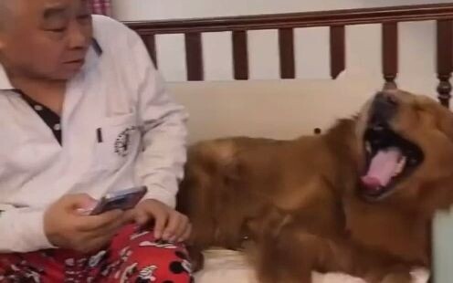 Mendengarkan kakek berbicara di telepon, benar-benar terdengar dengan jelas