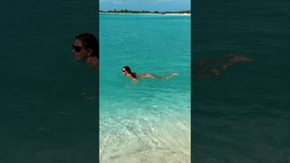 Beach girls just wanna have fun 🏖 wild swimming #shorts #caribbean