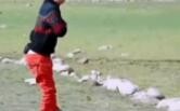 NPC: Đã bảo đừng bán cho người chơi Trung Quốc mà, khu vực Trung Quốc nên tăng độ khó lên thôi