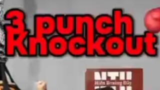 3 PUNCH KNOCKOUT(OVERHAND PUNCH)