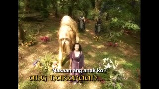 Encantandia 2005-Full Episode 41