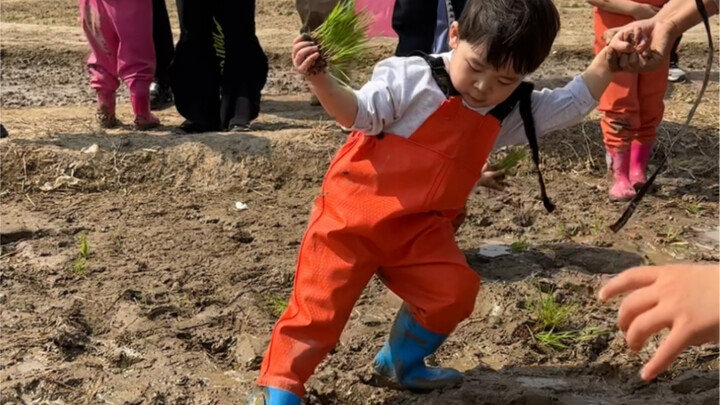 Đi dã ngoại mùa xuân đây!