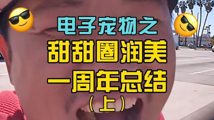 殖人甜甜圈王伟恒润美一周年总结（上）